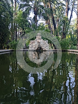 Vertical shot of a pond at the Huerto del Cura National Garden in Spain photo