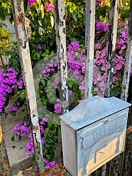 Vertical shot of a post box on a rustic metallic fence against purple flowers in Dubrovnik, Croatia