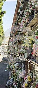 Vertical shot of pots with flowers on an outdoor shelved construction photo