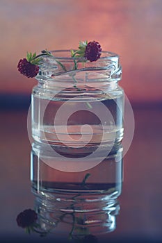 Vertical shot of purple flowers in a small jar full of water reflected on the glass surface below