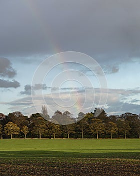 Vertical shot of a rainbow over the forest captured during the daytime in autumn
