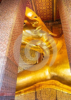 Vertical shot of the Reclining Buddha in Wat Phra Chetuphon (Wat Pho) temple Bangkok, Thailand