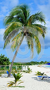 Vertical shot of the Rendez-vous Beach in Anguilla under a blue sky