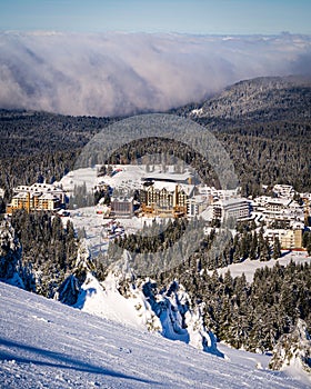 Vertical shot of a resort surrounded by forests, Kopaonik mountain, Serbia