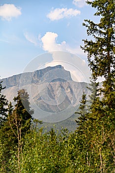 Vertical shot of the ridge in the Brooks Range of Alaska with a forest in the foreground