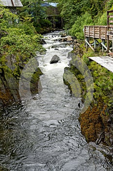 Vertical shot of a river on a Creek Street in Alaska