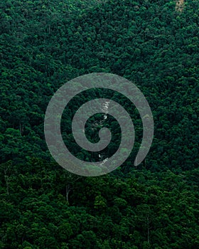 Vertical shot of a river flowing through a mountain range covered with dense green forest