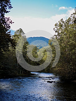 Vertical shot of a river flowing through Nantahala National Forest in North Carolina, USA