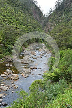 Vertical shot of a river through mountains in a forest