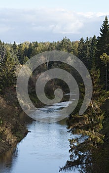 Vertical shot of a river surrounded by trees captured in Lavia