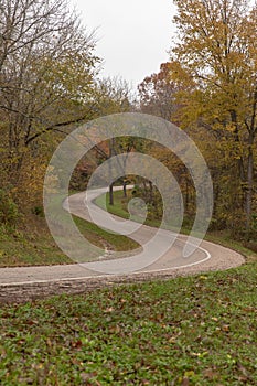 Vertical shot of a road through a forest covered in autumnal colors