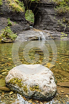 Vertical shot of a rock in a pond in Port Alberni, Canada, British Columbia photo