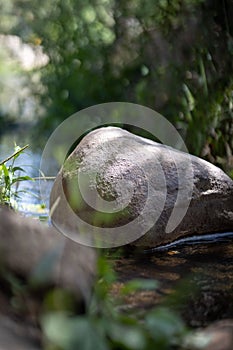 Vertical shot of a rock in the water in a blur