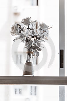 Vertical shot of roses arranged in a bottle vase against a bright window