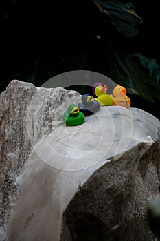 Vertical shot of a row of colorful rubber duckies on a stone surface