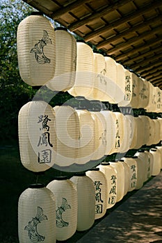 Vertical shot of rows of beautiful white koy fish lanterns hanging photo
