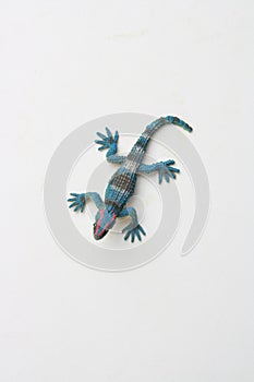Vertical shot of rubber lizard toy isolated on white background