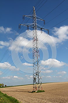 Vertical shot of a rural powerline