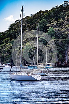 Vertical shot of sailboats at sea with furled sails