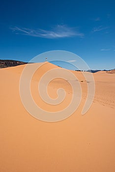 Vertical shot of sand dunes at the Bryce Canyon National Park, the USA
