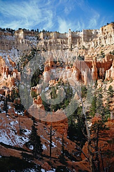 Vertical shot of the scenic Bryce Canyon National Park during daytime in Utah, United States