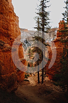 Vertical shot of the scenic Bryce Canyon National Park during daytime in Utah, United States