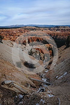 Vertical shot of the scenic Bryce Canyon National Park during daytime in Utah, United States