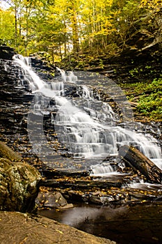 Vertical shot of the scenic landscape with a waterfall at Ricketts Glen State Park Benton