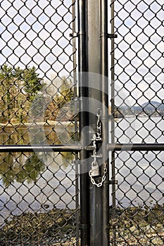 Vertical shot of a serene ocean with trees in the background through a locked chain link fence