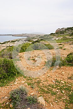 Vertical shot of the shore of the lake covered by soil and grass under the blue sky