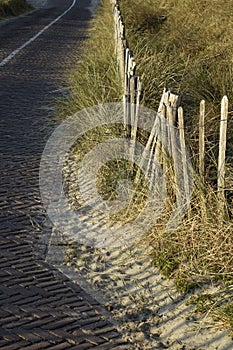 Vertical shot of a sidewalk with wooden fence and weathered grass