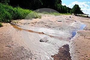 Vertical shot of siltation of the river bottom on the sandy beach with bushes on the background