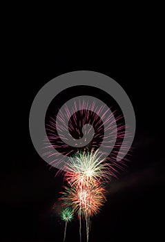 Vertical shot of skyrockets exploding in the night sky on the Fourth of July.