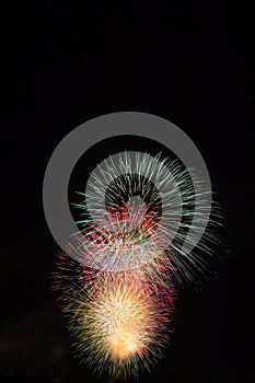 Vertical shot of skyrockets exploding in the night sky on the Fourth of July.