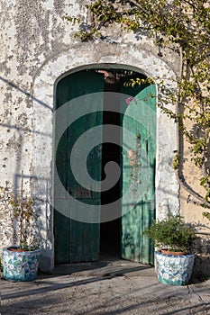 Vertical shot of a slightly open wooden green door next to pots of plants
