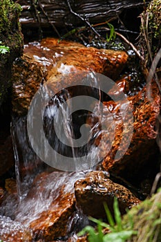 Vertical shot of a small forest hillside waterfall streaming into the rocks