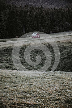 Vertical shot of a small single red cabin in a field next to a forest