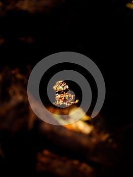 Vertical shot of a small spot of sunlight falling on dried grass