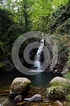 Vertical shot of a small waterfall cascading down in a forest next to rocks