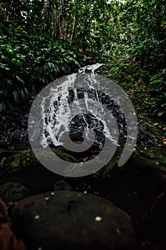 Vertical shot of a small waterfall cascading on rocks in a tropical forest