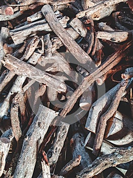 Vertical shot of a snapped wooden pieces in the sunlight