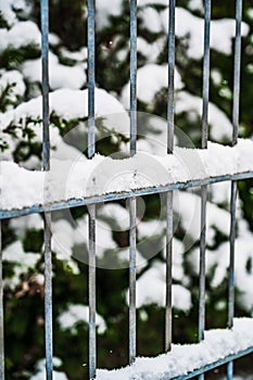 Vertical shot of a snow-covered metal fence