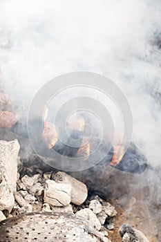 Vertical shot of some food being barbequed on hot coal