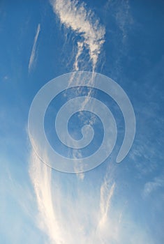 Vertical shot of spindrift clouds and blue sky