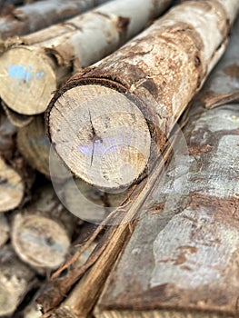 a vertical shot of a stack of logs