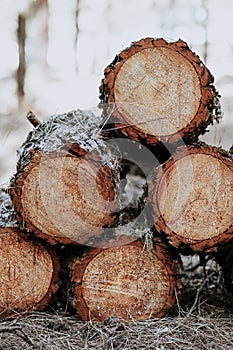 Vertical shot of a stack of wood logs