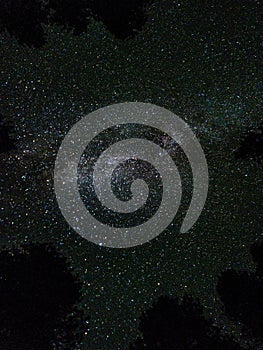 Vertical shot of a starry sky at night surrounded by trees