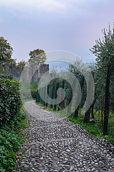 Vertical shot of steps to the Rocca di Asolo, Italy