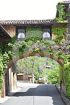 Vertical shot of stone arch entrance wall with green leafy vines
