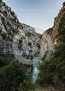 Vertical shot of a stream flowing through the hiking area Sentier Blanc-Martel with trees